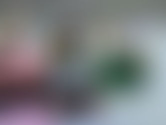 Nein zum Bergbau": Aktivisten fordern die Schließung einer Goldmine in Guatemala 20/04/2024