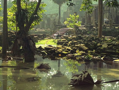 Illustratives Foto von Melody Temple auf Unsplash