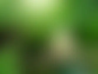 Große Hoffnungen auf Kohlenstoffabscheidung und unterirdische Speicherung 9/05/2024