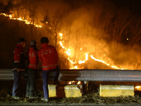 Wissenschaftler sind sich einig, dass sich das Klima der Erde aufgrund menschlicher Aktivitäten verändert und dass die globale Erwärmung zu häufigeren und intensiveren Wetterextremen führt (ANTHONY WALLACE).