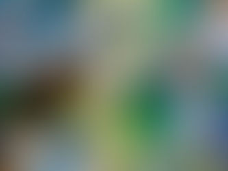 Vorsitzender der globalen Kunststoffgespräche verspricht Einigung im nächsten Monat 23/10/2024