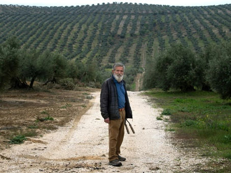 Francisco Ruiz Palomo, Präsident der Olivenöl-Genossenschaft La Loperana, posiert am 24. März 2025 in seinem Olivenhain in Lopera (CRISTINA QUICLER). CRISTINA QUICLER/AFP/AFP