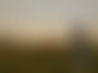 Im Herzen der mauretanischen Wüste gedeiht eine grüne Oase der Gleichheit 14/07/2024