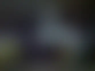 Klimaaktivisten blockieren die Ankunft eines Kreuzfahrtschiffes in Amsterdam 18/08/2024