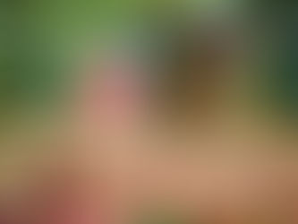 Vietnams Kaffeeplantagen werden durch Dürre, Hitze und Schädlinge geschädigt. 6/06/2024