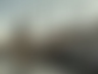 Niederlande müssen Stickstoffemissionen senken, urteilt Gericht 22/01/2025