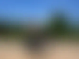 „Was sollen wir tun?“ Das Problem der Kunststoffgutschriften 13/02/2025