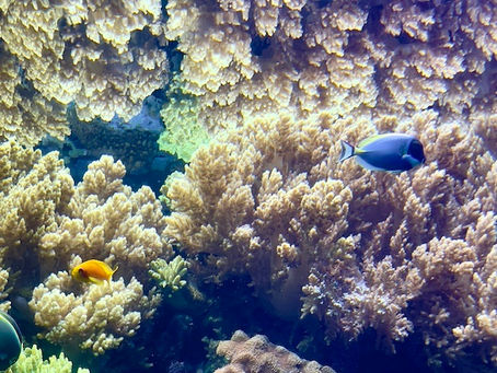 Foto Privatarchiv von Ana Cunha-BUSCH