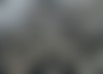 Vom Aussterben bedrohte Flusspferdherden stecken im Schlamm des von der Dürre heimgesuchten Botswana fest 27/04/2024