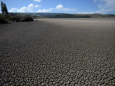 Kolumbianisches Gericht erkennt Umweltflüchtlinge an 24/04/2024