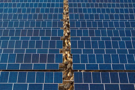 Erneuerbare Energien und Kernenergie helfen China trotz steigendem Strombedarf, seine Emissionen zu senken (STR) (STR/AFP/AFP)