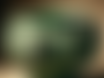 Bronze Patinas – Part 1