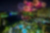 Disney Fireworks