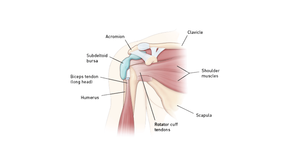 Untitled design (1).png