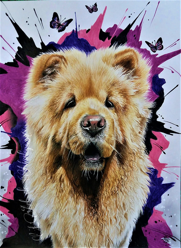 A3 Sylvie Rose 15-08-18.jpg