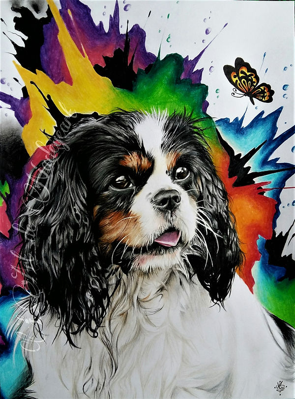 A3 Vega Malaunay 10-05-18.jpg