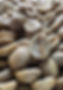 COFFEE.jpg