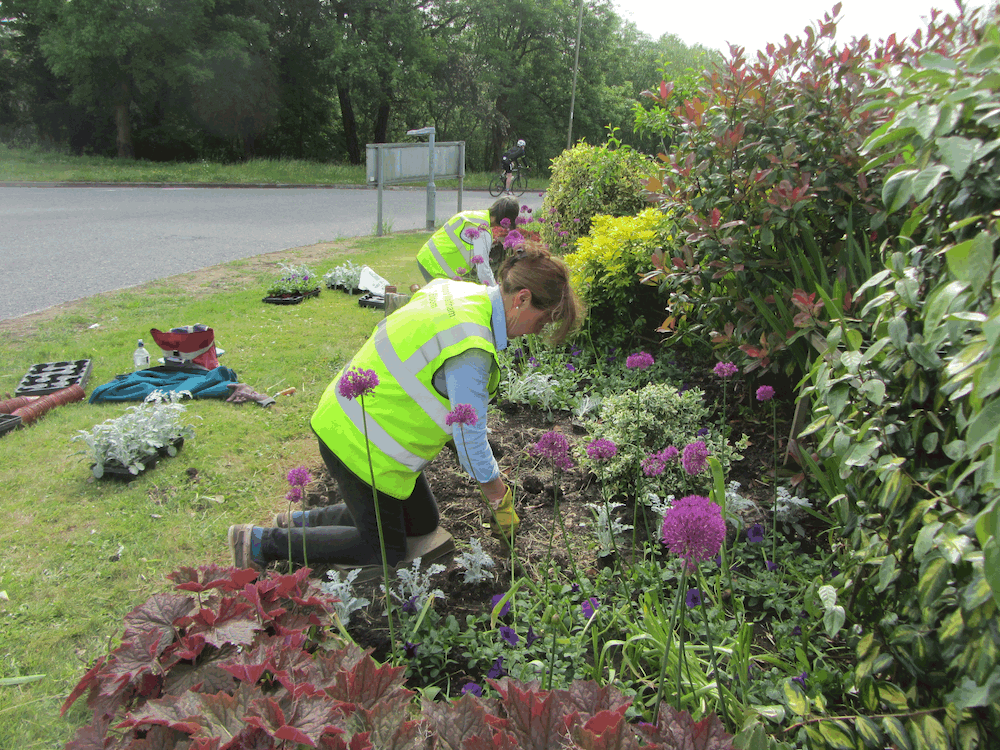 Mon 25th May: Planting Day