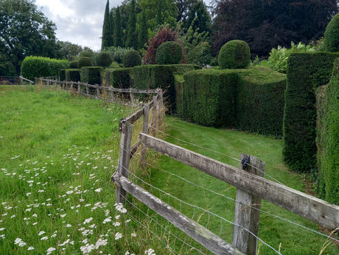Garden maintenance by R Lambeth Landscape Southampton