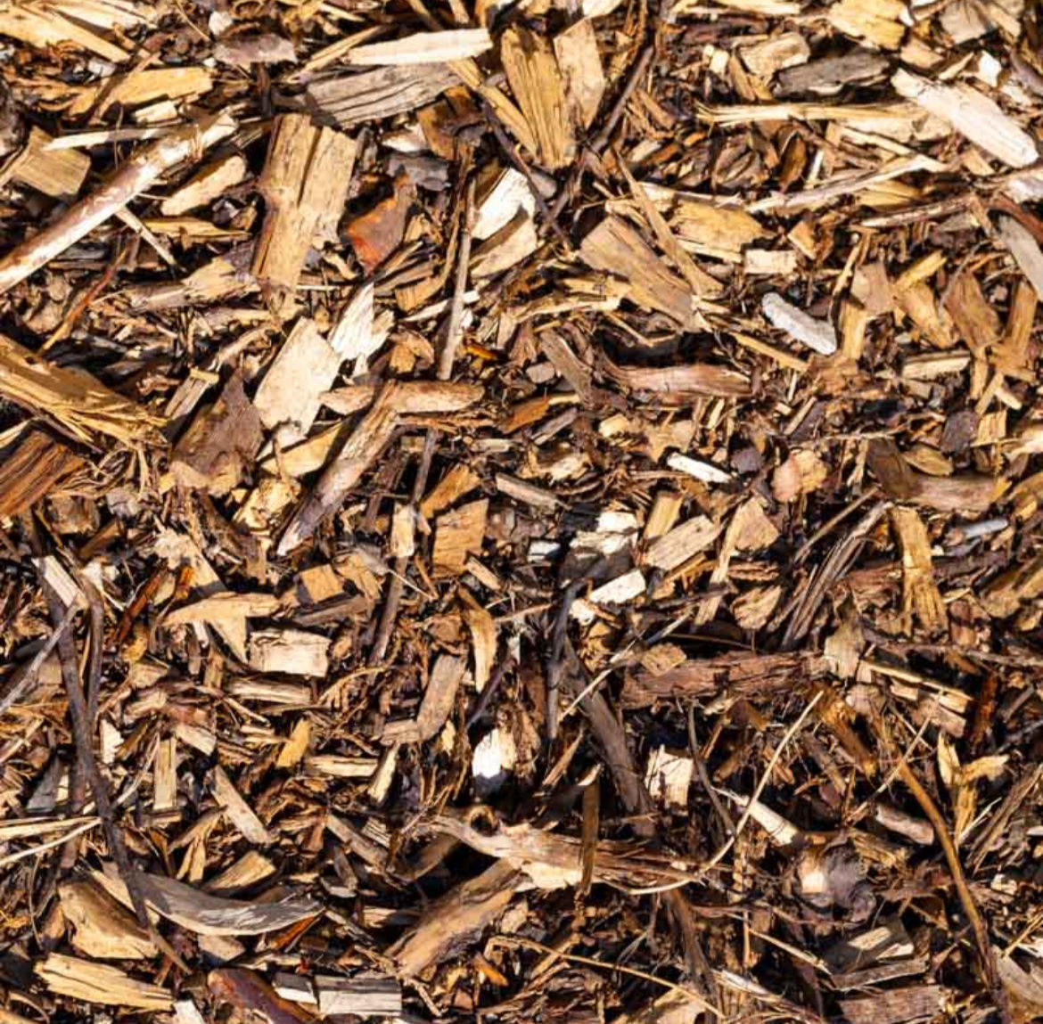 Wood chip