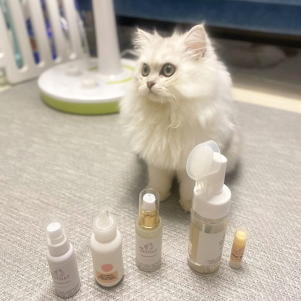 縮圖：B5寵物毛髮護理噴霧 50ml