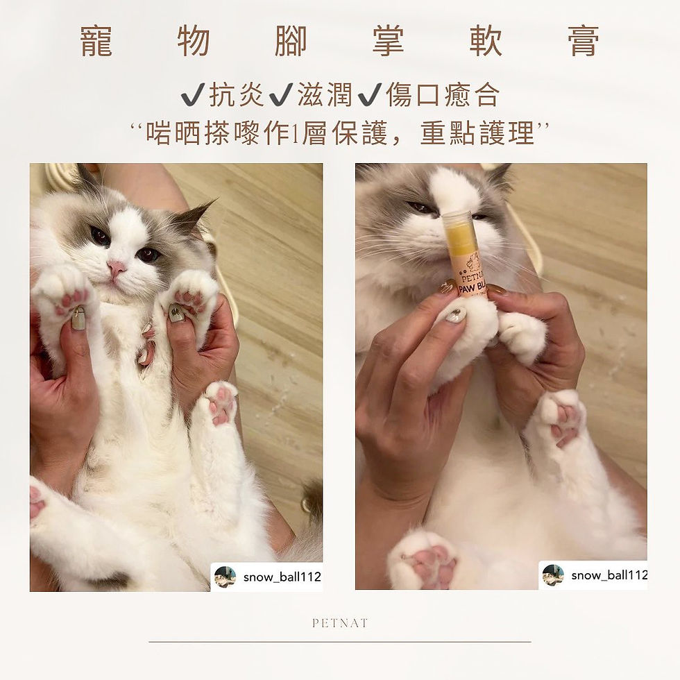 縮圖：寵物修復軟膏 PAW BLAM 5g/15g