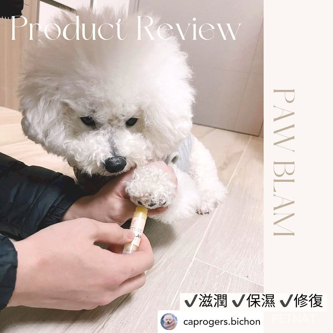 寵物修復軟膏 PAW BLAM 5g/15g