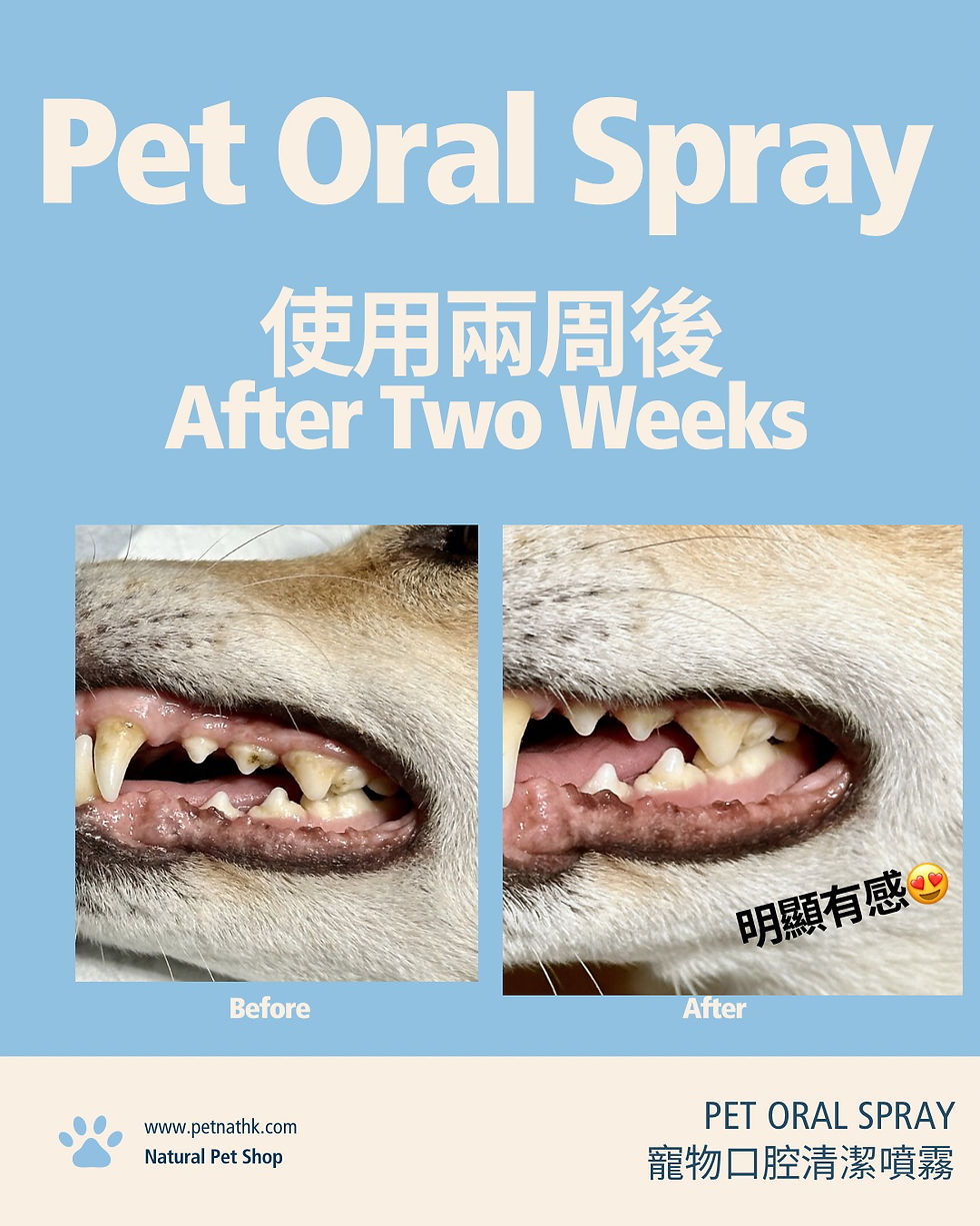 縮圖：寵物口腔除臭噴霧 30ml