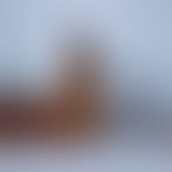 6 февраля 2017. Лекция «Какая детская площадка нужна детям?» от компании AFA