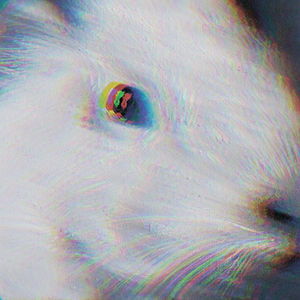 Персональная выставка Марины Кузнецовой «Душа»