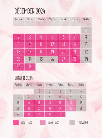 HORAIRES DÉC 2024_edited.jpg