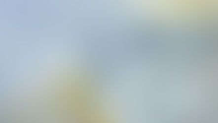 The Innisfree no. 10: My Tulip Trees