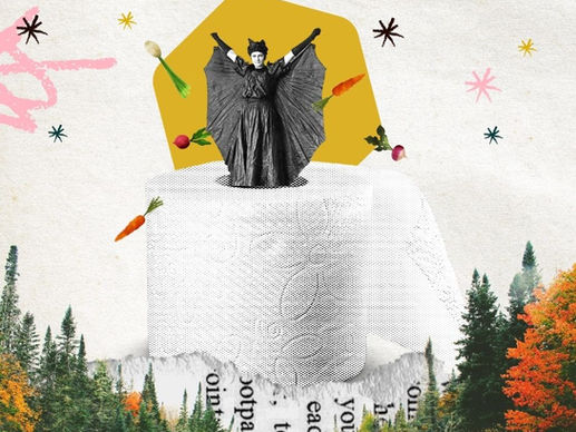 17 medicinal plants that can also be used for toilet paper