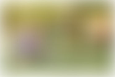 Elizabeth & David | Summer Engagement | Nashville, Tennessee