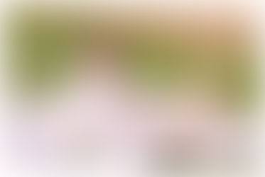 Amara Garcia | Playful 3 Year Session | Franklin, KY