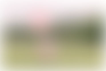 Amara Garcia | First Year Cake Smash Session | Greenbrier, TN