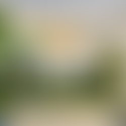 Brighturo Offices in San Diego California