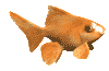 3BP6DCUVSXAZ2ZMBRSDVUPXPKGEQ53TI.gif