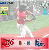 vets.gm1.png