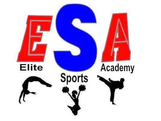 Elite Sports Academy
