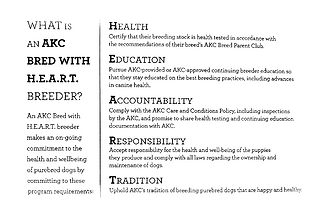 Screenshot 2025-11-06 at 3.41.48 PM.png