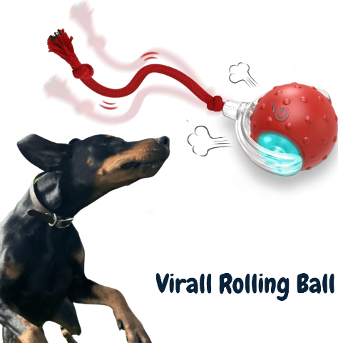 Joyful Pet Play Ball