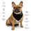 Miniatura: #firsttostrike All-over print bandana BLK