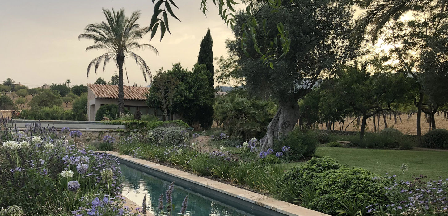 An example of the landscaping and garden design of Filippo Dimatteo Studio showing a beautiful landscaped garden in the summer.