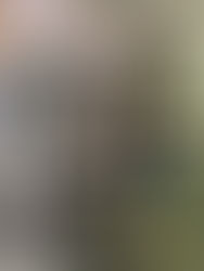 PT Julien Bertherat with a client.