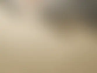 Overcoming the Odds: Navigating Financial Challenges in Small Business