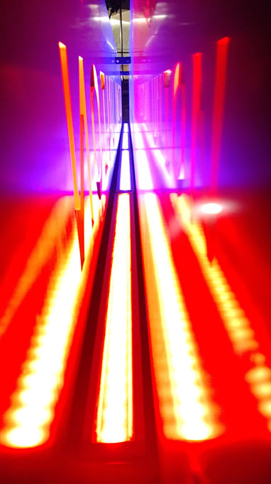 P H O T O G R A P H I C S