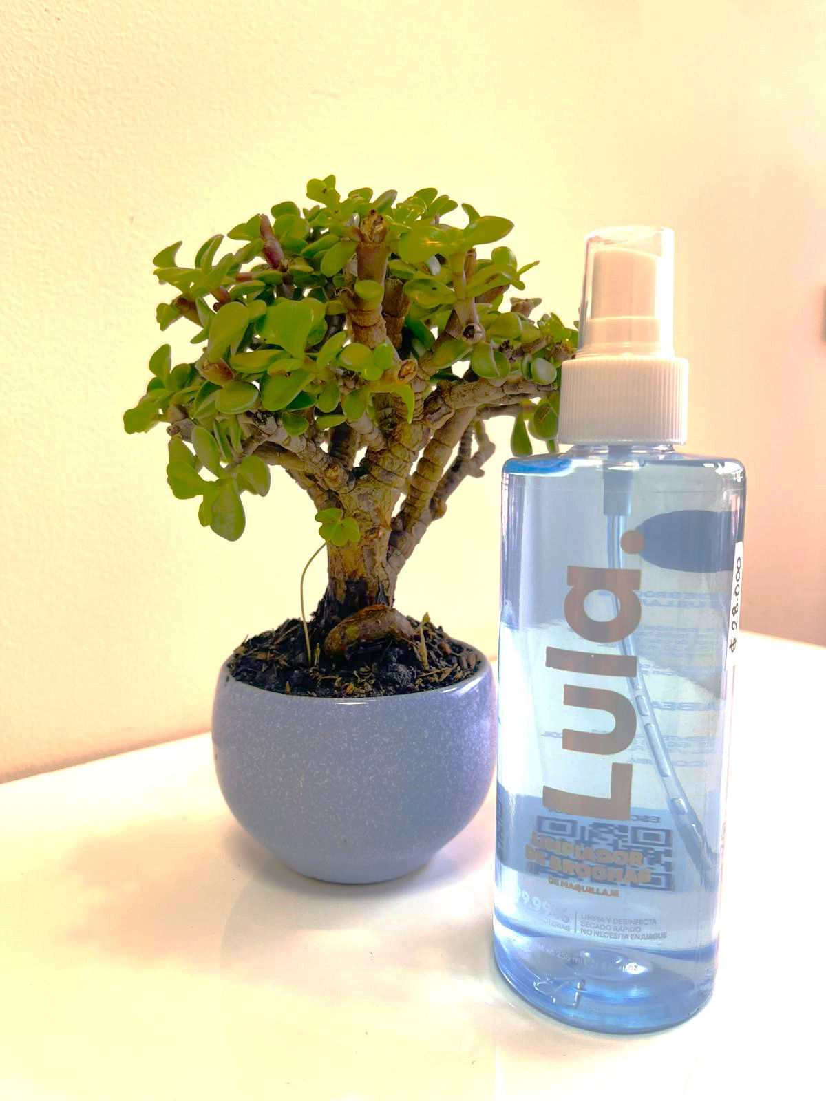 Lula Brush Cleaning Spray