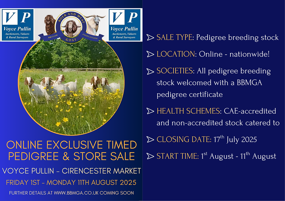 Cirencester 2025 Summary Pedigree Breeding Stock Sale (1).png
