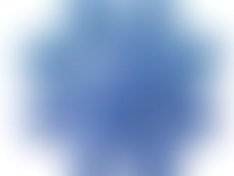 Where do you get your customer insight?